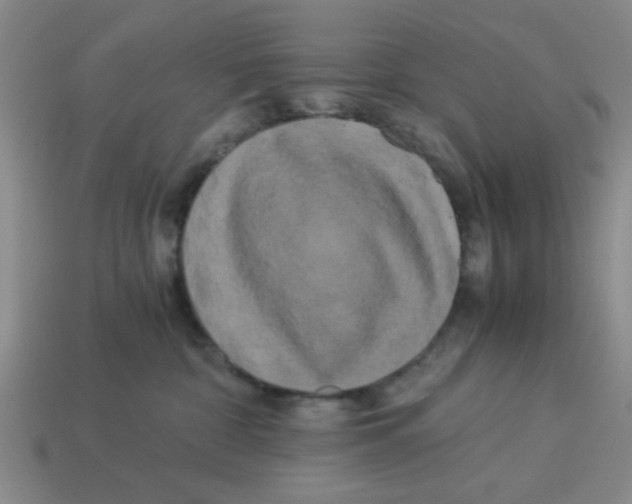 X0000114190332200911061408