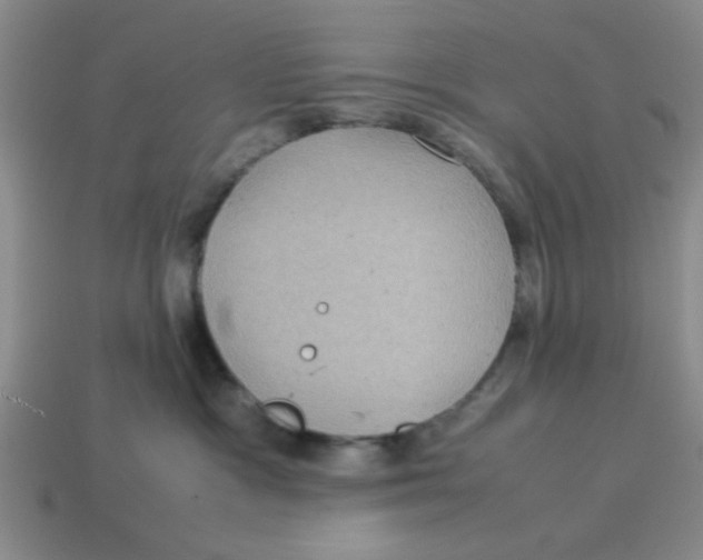 X0000114190333200911061408