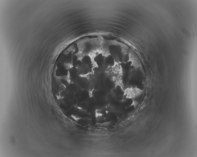 X0000114190337200911061408