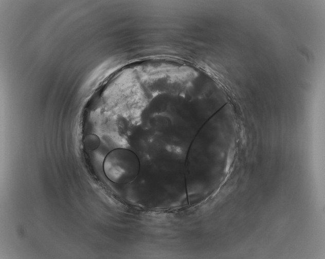 X0000114190339200911061408