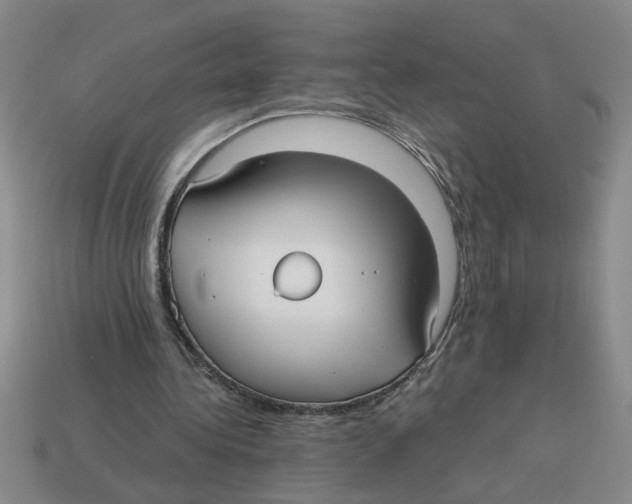 X0000114190340200911061408