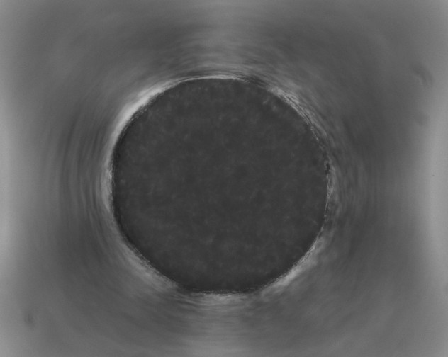 X0000114190342200911061408