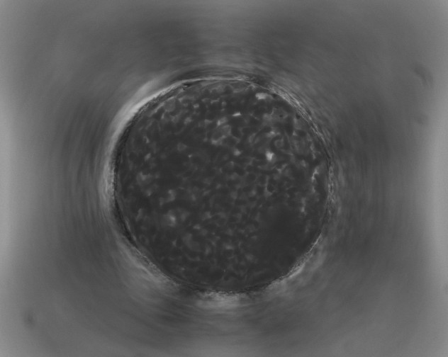 X0000114190343200911061408