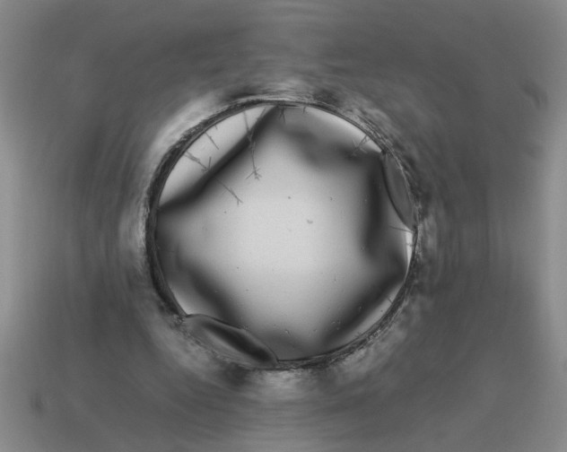 X0000114190344200911061408