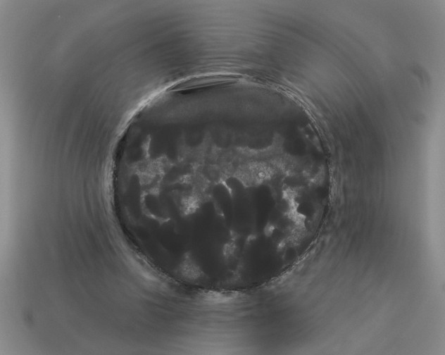 X0000114190346200911061408