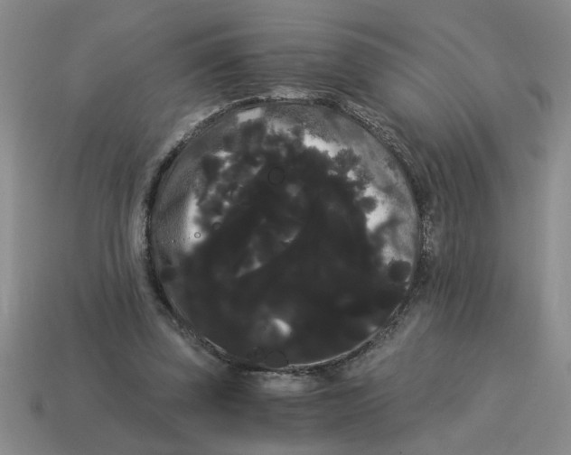 X0000114190347200911061408