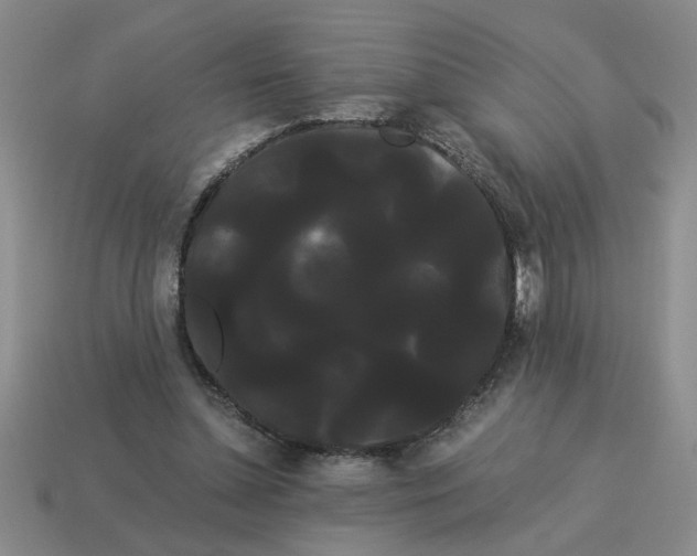 X0000114190348200911061408