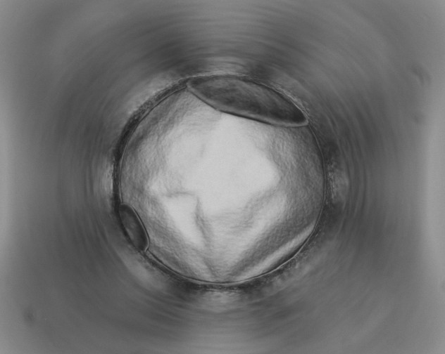 X0000114190350200911061408