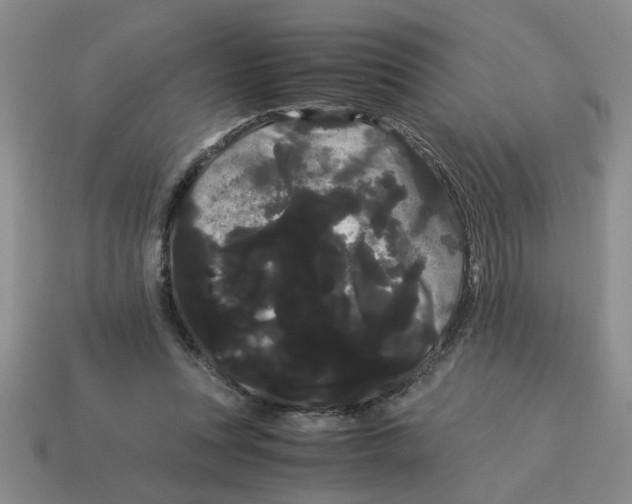 X0000114190351200911061408