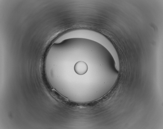 X0000114190352200911061408