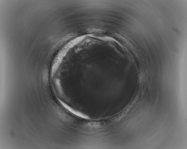 X0000114190353200911061408