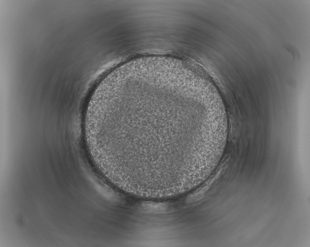 X0000114190354200911061408