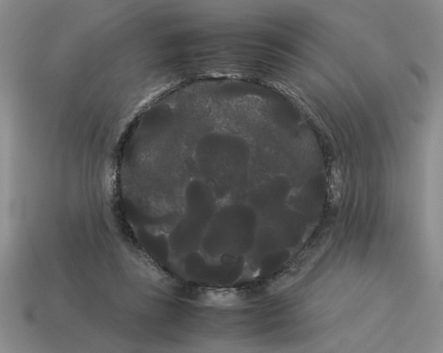 X0000114190355200911061408