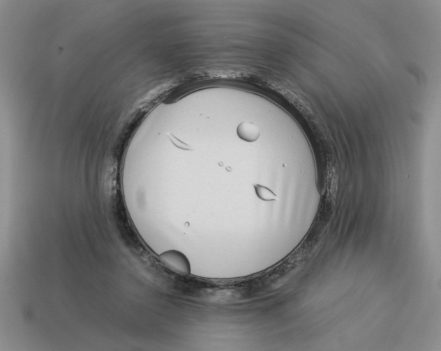 X0000114190356200911061408