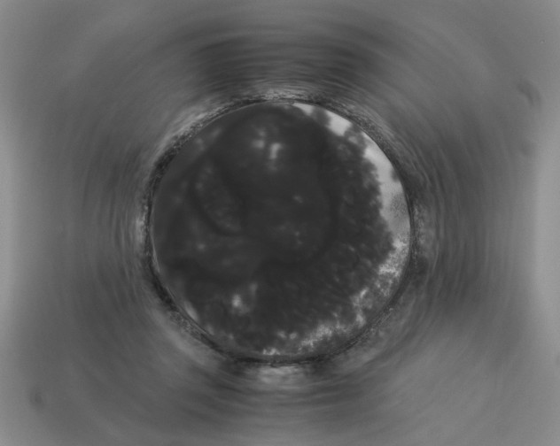 X0000114190357200911061408