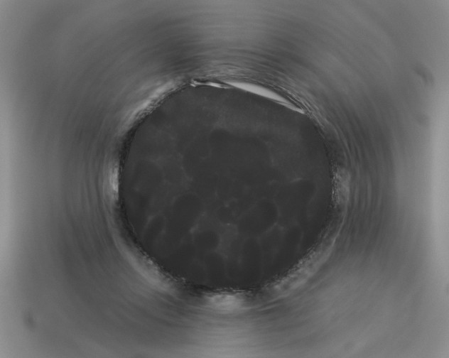 X0000114190358200911061408