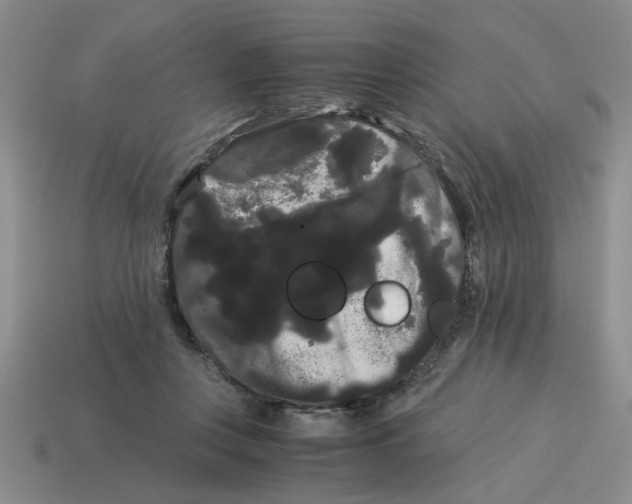 X0000114190359200911061408