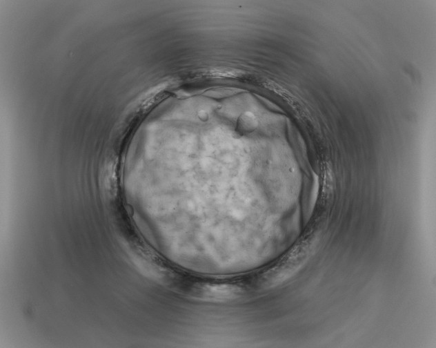 X0000114190360200911061408