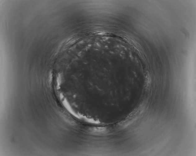 X0000114190361200911061408