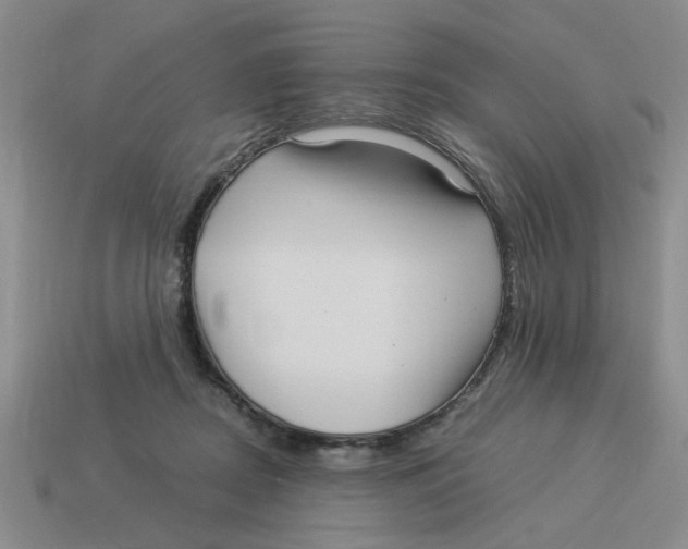 X0000114190362200911061408