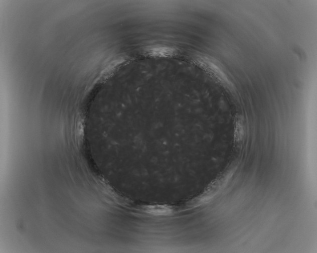 X0000114190363200911061408