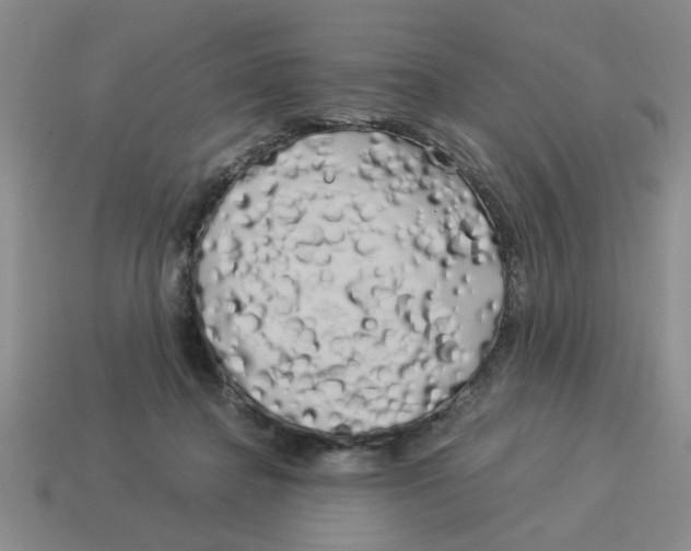 X0000114190364200911061408