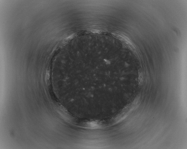 X0000114190365200911061408