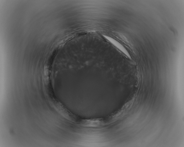 X0000114190366200911061408