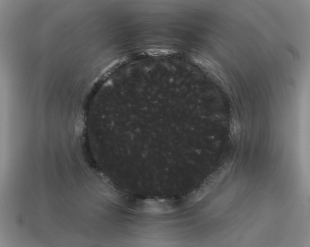 X0000114190367200911061408