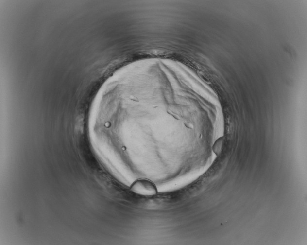 X0000114190368200911061408