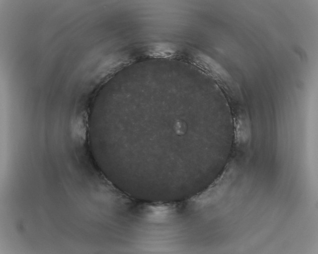 X0000114190370200911061408