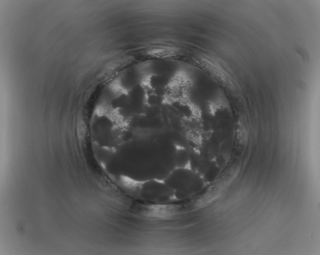 X0000114190371200911061408