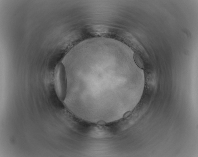 X0000114190372200911061408