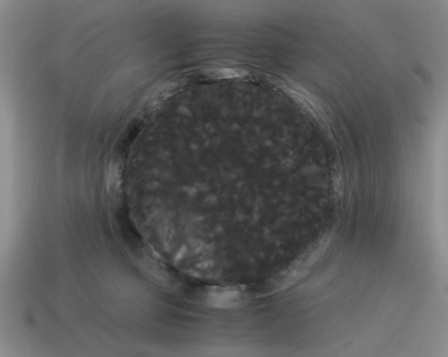 X0000114190373200911061408