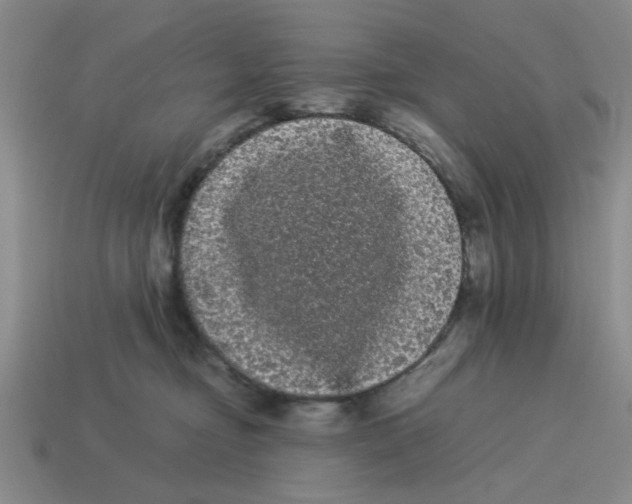 X0000114190374200911061408