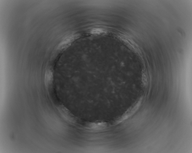 X0000114190375200911061408