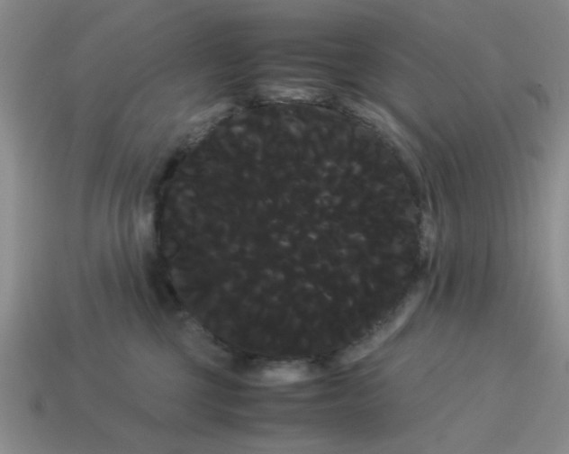 X0000114190377200911061408