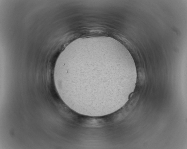 X0000114190379200911061408