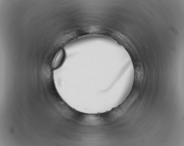 X0000114190380200911061408