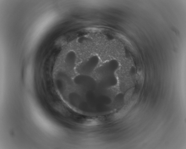 X0000114190381200911061408