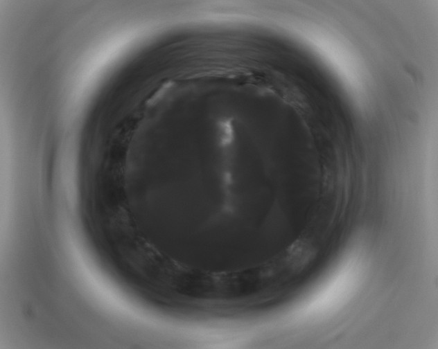 X0000114190383200911061408