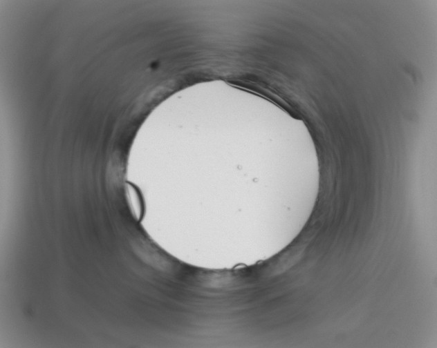 X0000114190384200911061408