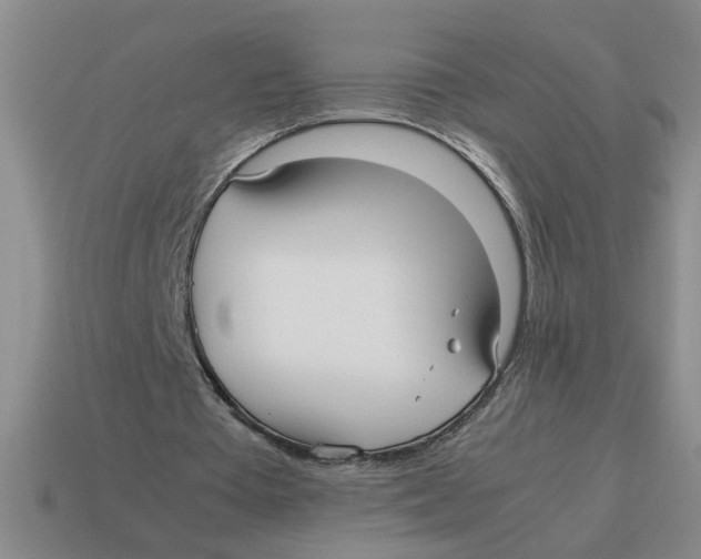 X0000114190385200911061408