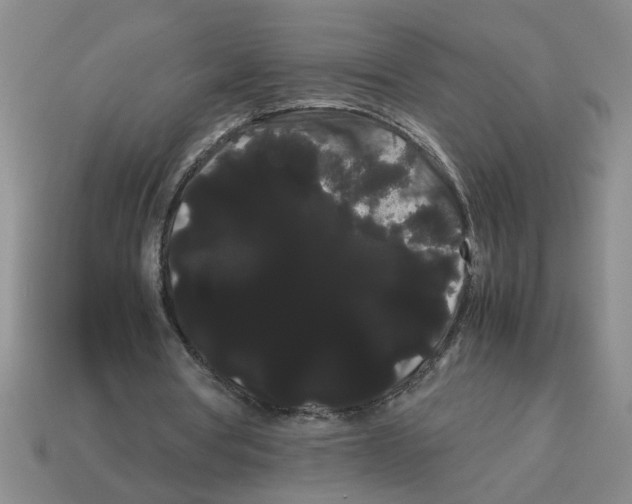 X0000114190386200911061408