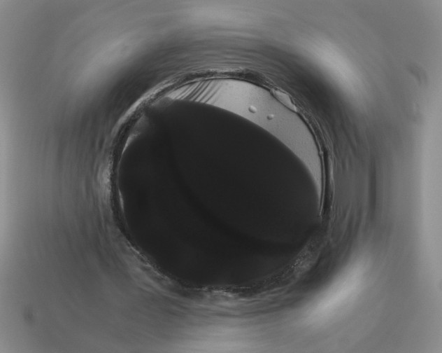 X0000114190387200911061408