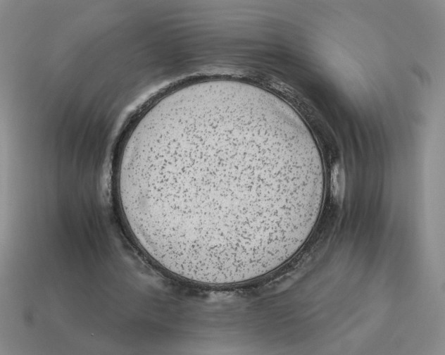 X0000114190388200911061408