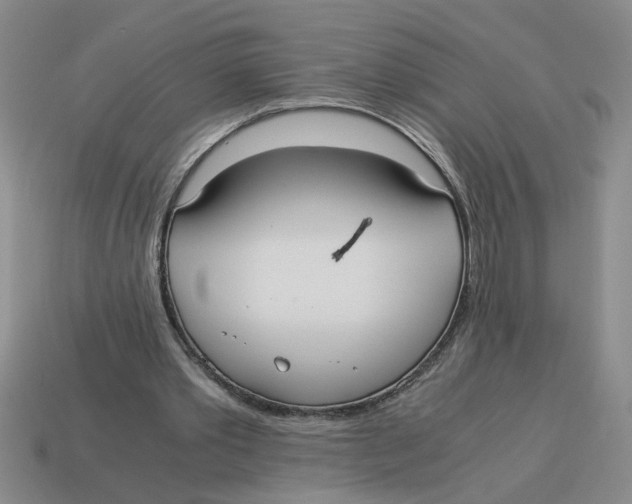 X0000114190389200911061408