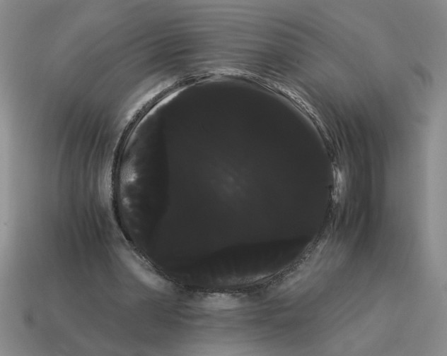 X0000114190390200911061408