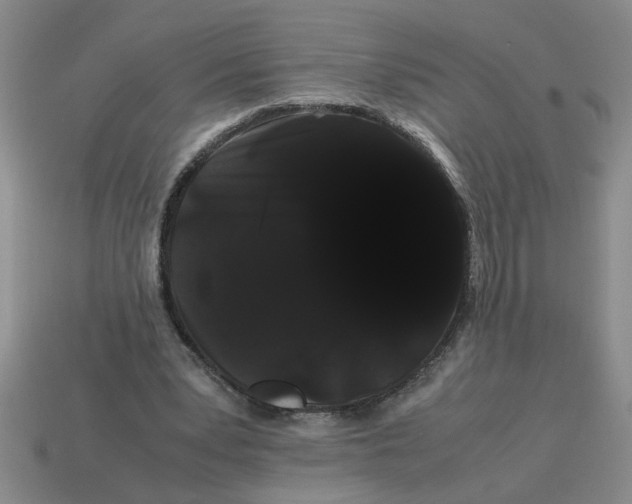 X0000114190391200911061408