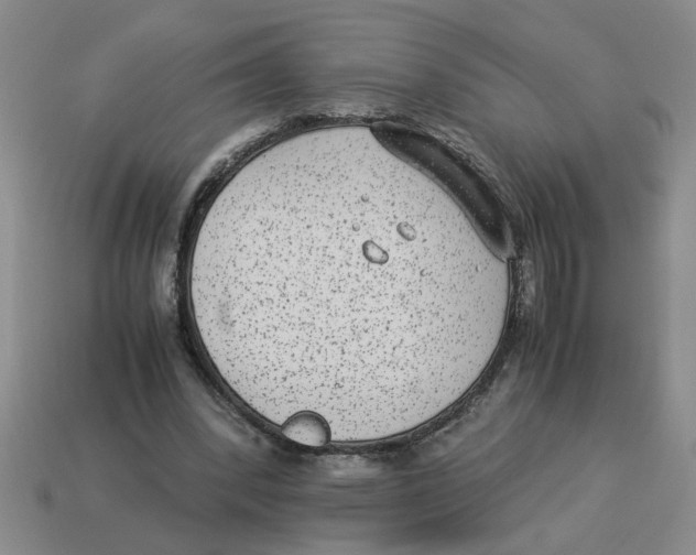 X0000114190392200911061408